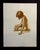Vintage Etching by Roger Hebbelinck Hand signed, titled and numbered by the artist in pencil "Nu no. 2" (Nude #2) unframed...