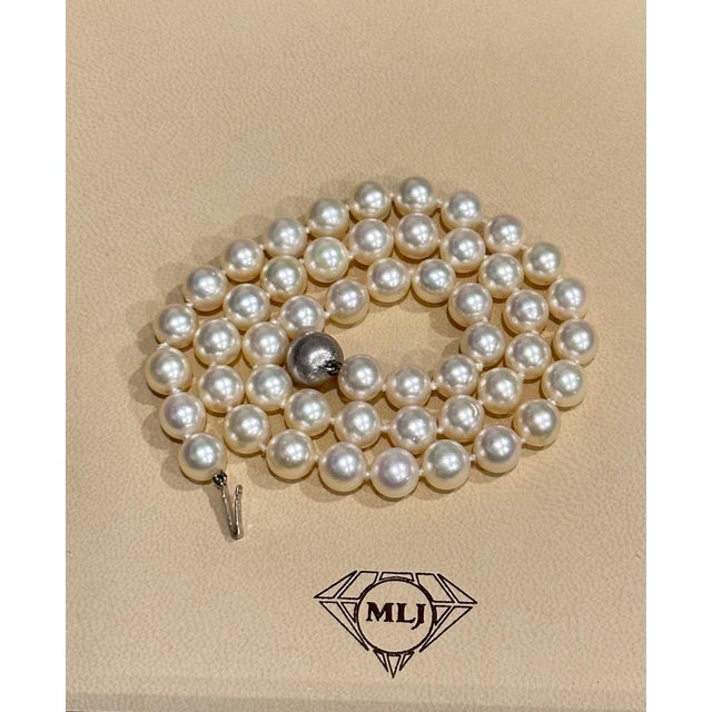 Vintage Cultured Akoya Pearl Strand Necklace Length 18" With 18Kt white Gold Clasp matching stud earrings are available in...