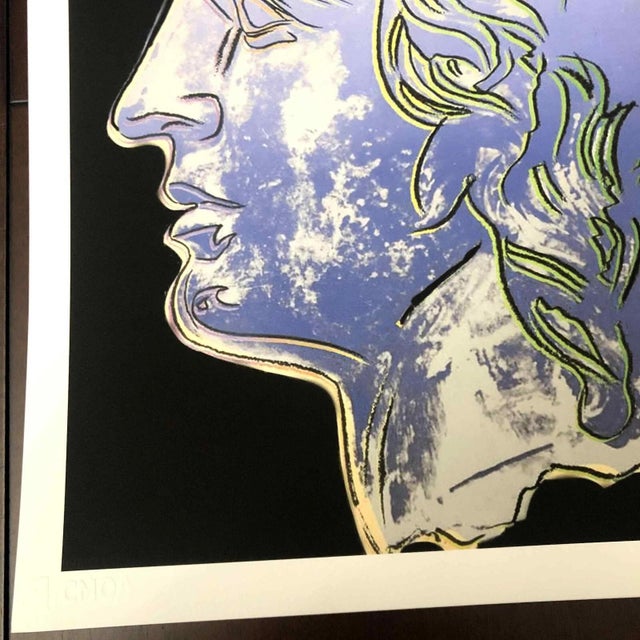 American 1990s After Andy Warhol "Alexander the Great" Lithograph For Sale - Image 3 of 11