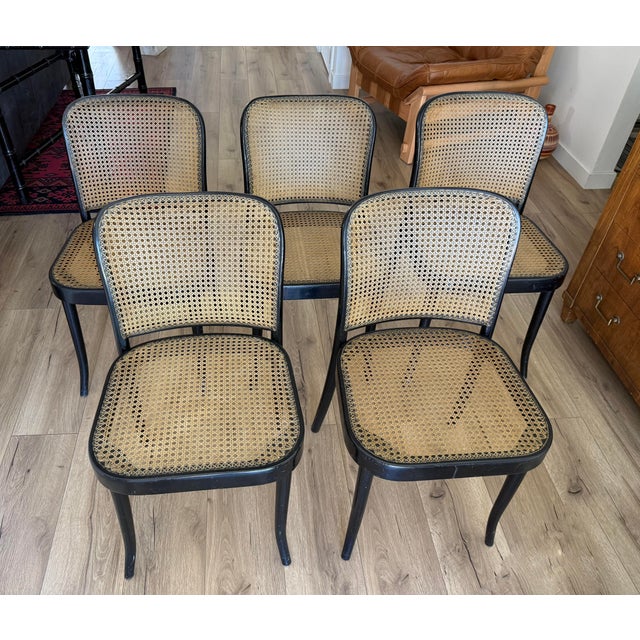 Thonet Bentwood Model 811 Chairs in Black and Pigskin Weave by Josef Hoffmann For Sale - Image 14 of 14