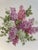 Vintage Schuman Arzberg Bavaria Germany "Lilac Time" Scalloped Porcelain 12" Decorative Plate For Sale - Image 13 of 13