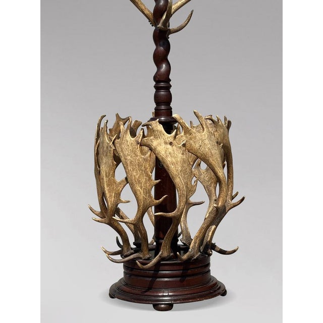 Large antler coat stand by j. Parker of woodstock. England, circa 1850 a striking and rare antler and oak hall stand...