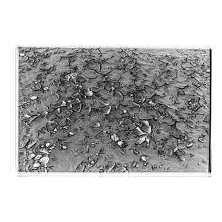 Serena Zeppilli, Tre Archi_09_2021, Photograph For Sale