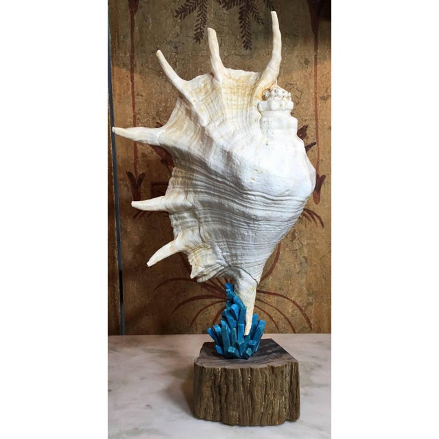 Exquisite Joseph Malekan Handcrafted Natural Element Sculptures For Sale - Image 4 of 15