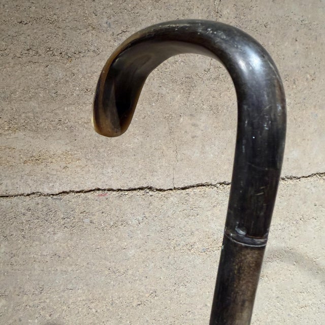 Antique Walking Cane Featuring Shaped Horn Handle Stacked Horn Shaft For Sale - Image 13 of 13