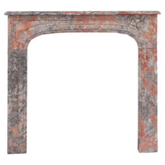 19th Century Louis Philippe Marble Fireplace Mantel For Sale