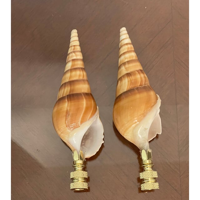 Coastal 1970s Coastal Pair Turbo Sea Shell Lamp Finials For Sale - Image 3 of 4