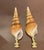 Coastal 1970s Coastal Pair Turbo Sea Shell Lamp Finials For Sale - Image 3 of 4