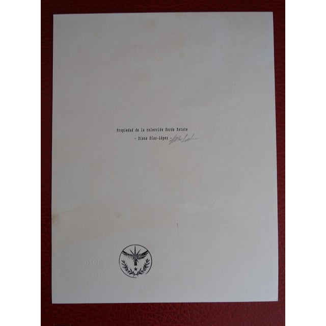 Alberto Korda, Fidel Castro, Silver Gelatin Print For Sale - Image 7 of 8