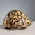 European Sculpture in Septarian Stone For Sale - Image 4 of 9