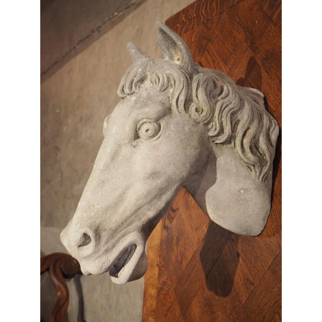 Carved Limestone Horsehead From Italy For Sale - Image 10 of 13