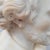Shakespeare, White Bust, 1800s, Marble For Sale - Image 17 of 18