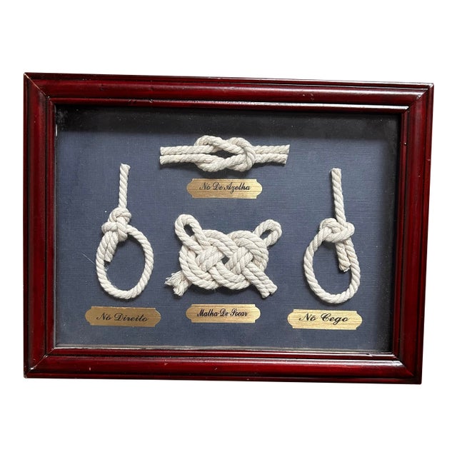 Vintage Framed Nautical Knot Display With Portuguese Labels- Coastal Wall Decor For Sale