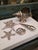 Silver Collection of Silverplated Sea Shells For Sale - Image 8 of 8