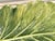 Bordallo Pinheiro Vintage Italian Lord and Taylor Giant Cabbage Leaf Serving Platter For Sale - Image 4 of 9