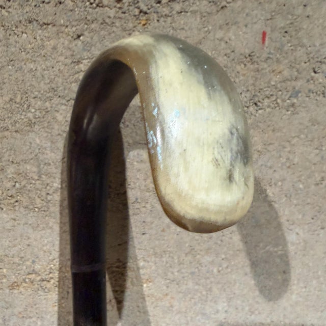 Antique Walking Cane Featuring Shaped Horn Handle Stacked Horn Shaft For Sale - Image 10 of 13