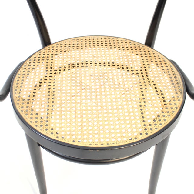 Set of Model 209 Armchairs from Thonet, 1990s For Sale - Image 13 of 16