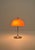 Vintage Desk Lamp by Frank Bentler for Wila, 1960s For Sale - Image 9 of 9