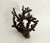Natural Black Octopus Coral Specimen For Sale - Image 4 of 8
