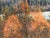 Robert Boyle “First Snowfall” Naturalistic Winter Mountain Landscape of a River Through Trees, 1990 For Sale - Image 11 of 11