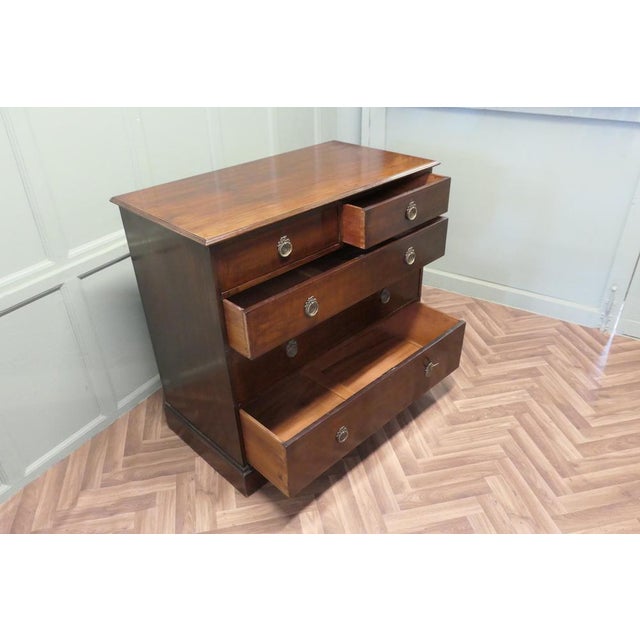19th Century Mahogany Chest of Drawers from Gillows For Sale - Image 6 of 8