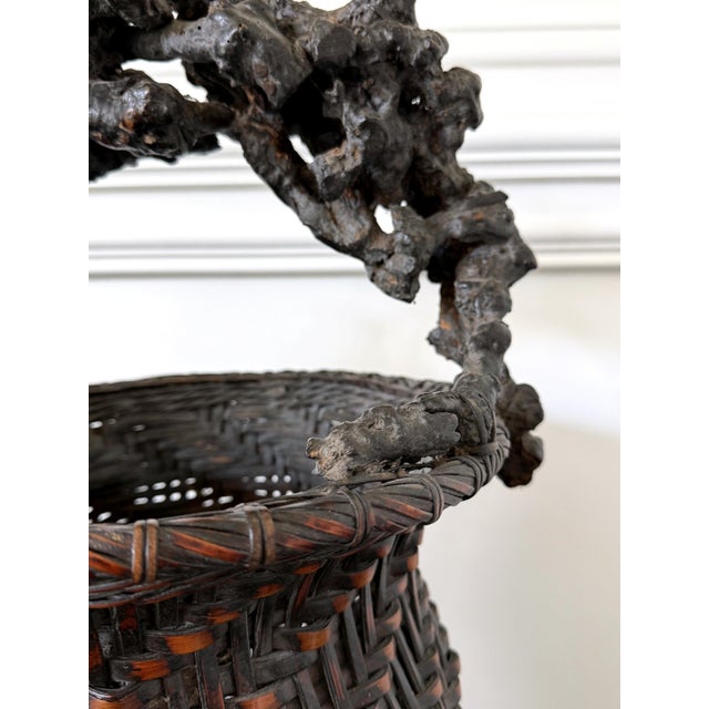 Extraordinary Smoke Bamboo Basket with Wisteria Root Handle Meiji Period For Sale - Image 4 of 14