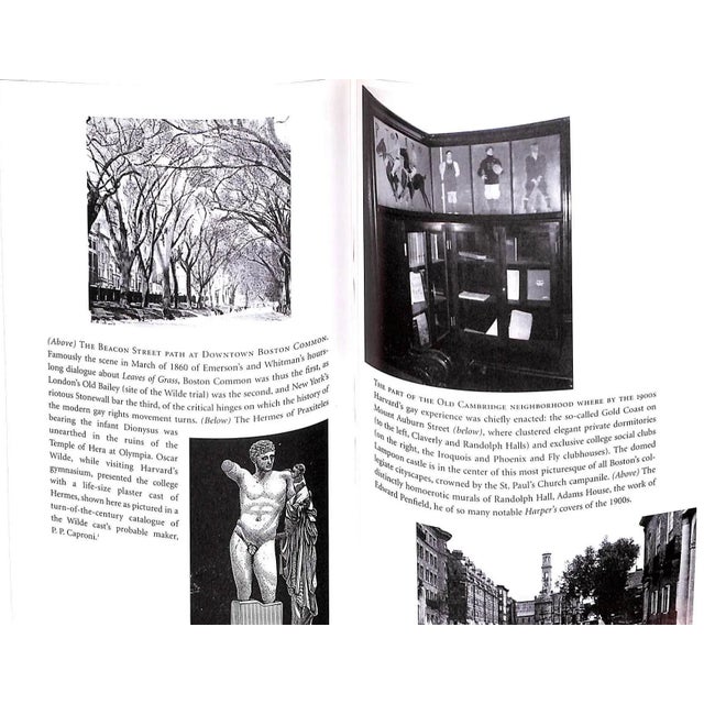 "The Crimson Letter" 2003 Shand-Tucci, Douglass (Signed) For Sale - Image 10 of 12