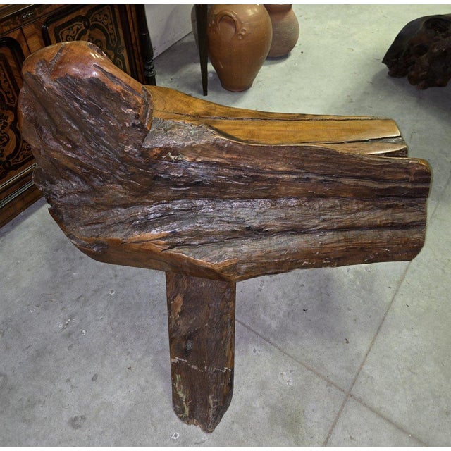 Wood 20th Century Bench in Olive Wood and Driftwood, Asia, 1920s For Sale - Image 7 of 9