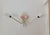 Large Wall Sconce, France, 1960s For Sale - Image 9 of 9