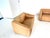 Mid-Century Modern DS 47 Chair with Neck Leather from de Sede, Set of 2 For Sale - Image 3 of 16