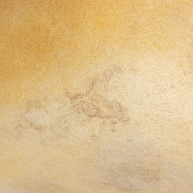 1950 First Generation Eames Rope Edge Fiberglass Armchair Attributed to Herman Miller For Sale - Image 14 of 18