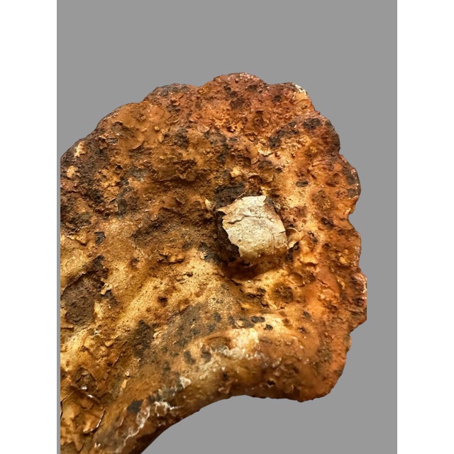 Early 20th Century Cast-Iron Victorian Garden Urn With Figural Swan Base For Sale - Image 10 of 12