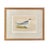 Late 19th Century Antique Lydon Morris Hand Colored Seabird Ornithological Prints Framed Set of 3 Circa 1880 For Sale - Image 5 of 12
