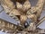 Gold Vintage Art Deco Gilted Metal “Sleeping Beauty” Floral Mirror in the Style of Claude Lalanne For Sale - Image 8 of 9