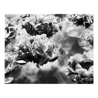 Ugne Pouwell, Summer Solstice No.2, 2024, Photography For Sale