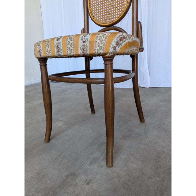 Vintage Bentwood Chair in Fabric and Cane Backrest, Yugoslavia, 1970s For Sale - Image 17 of 18