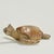 Life like, life size turtle sculpture crafted in composition in an amazing realistic replication. Labeled Animal Classics...