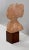Terracotta Bust of Louise Brongniart After Houdon, 1900 For Sale - Image 3 of 18
