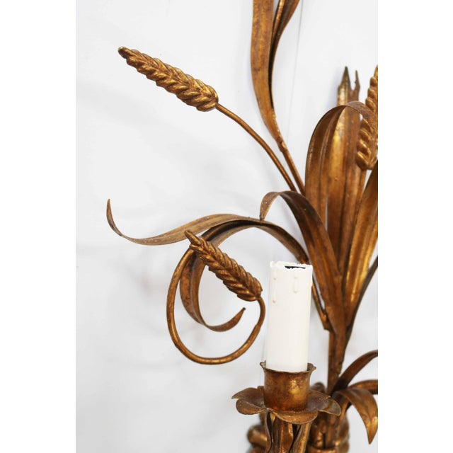 Large Florentine Regency Wall Lamp with Ears of Wheat by Hans Kögl, 1970s For Sale - Image 6 of 9