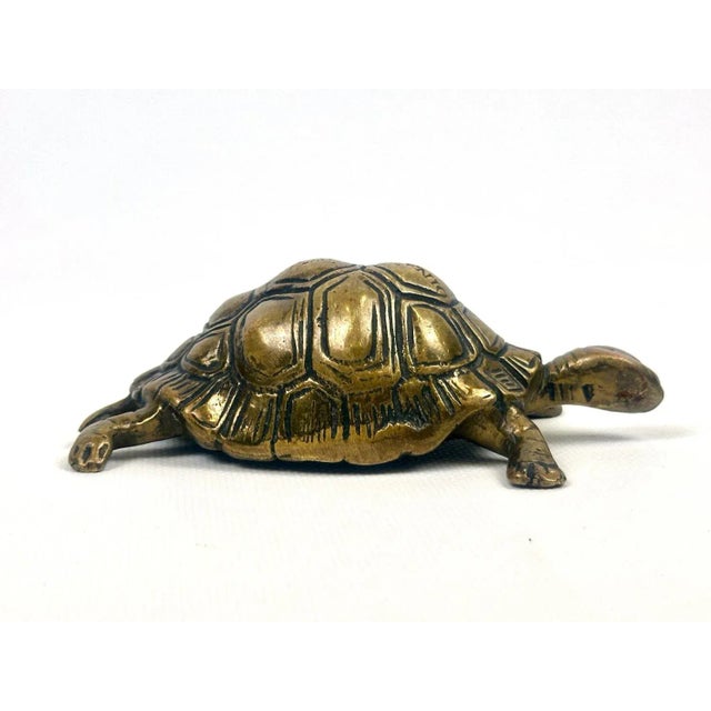 Vintage Brass Turtle Figurine from Dinant, 1960s For Sale - Image 6 of 11