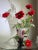 Daum Nancy, Wonderful Poppy Vase. Circa 1900 For Sale - Image 11 of 15