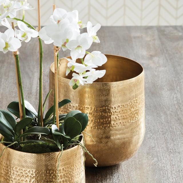 Emberlynn is formed from a thin sheet of metal, trimmed and textured to perfection. This beautiful Cachepot is sure to...