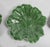 Secla Mid-Century Set of 6 Green Cabbage Luncheon Plates by Secla Portugal For Sale - Image 4 of 18