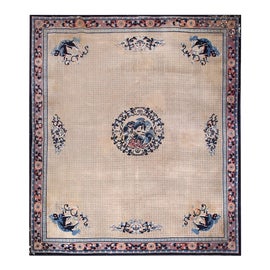 Example of Animal Print Rugs