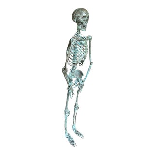 19th Century Bronze Skeleton For Sale