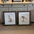 Pair of Italian Parrot Prints For Sale - Image 9 of 12