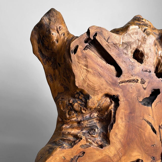 Japanese Keyaki Zelkova Root Wood Decoration, 1900s | Chairish