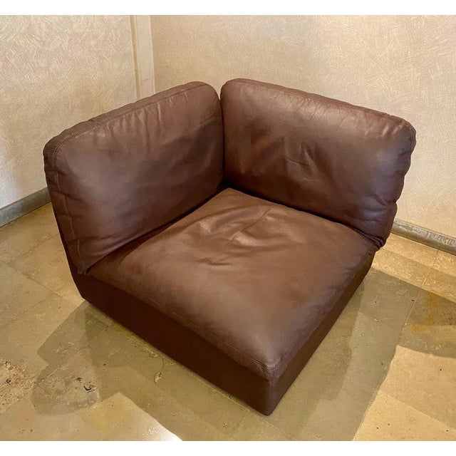 Brown Sofa by Jonathan de Pas, Donato d'Urbino and Paolo Lomazzi for Zanotta For Sale - Image 8 of 13
