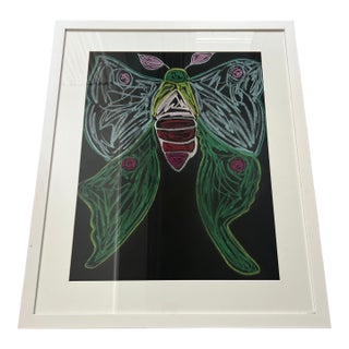 Original Pastel Drawing of a Luna Moth For Sale