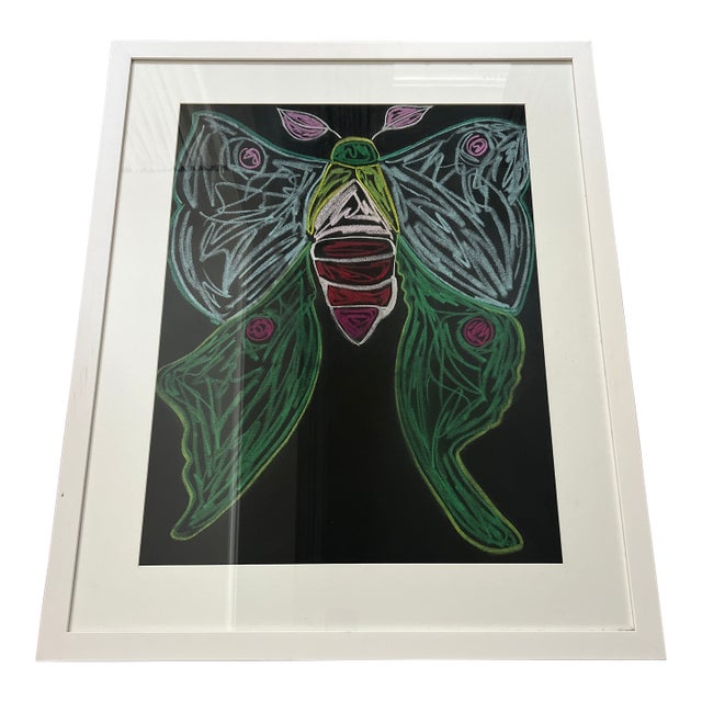 Original Pastel Drawing of a Luna Moth For Sale
